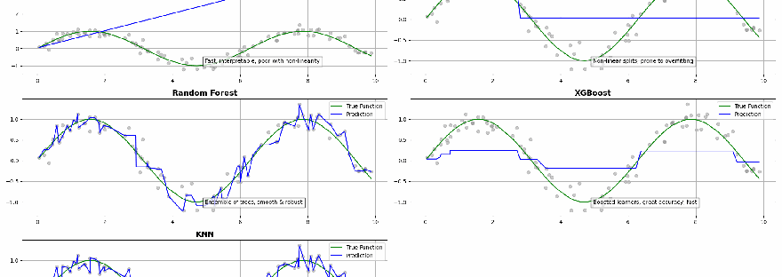 Animated comparison of regression models showing bias, variance, and prediction accuracy